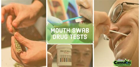 how hard is the marijuana premit test|Mouth swab drug tests for weed: What you need to know.